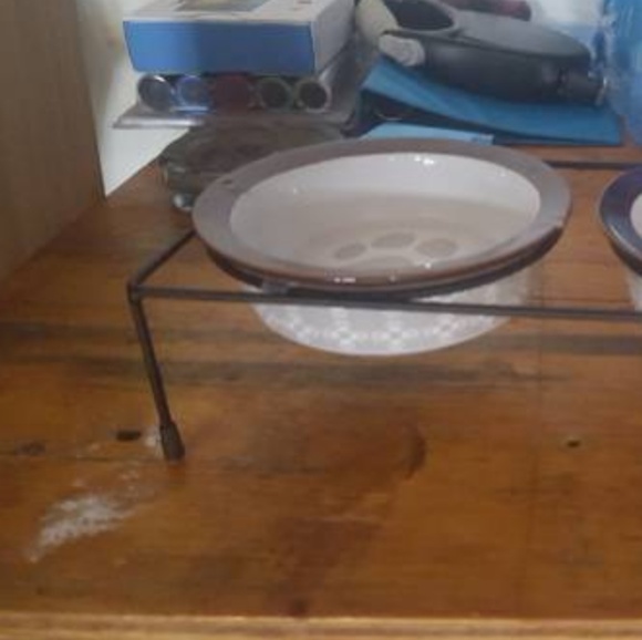 10$ Brand new pet bowls - Picture 4 of 4